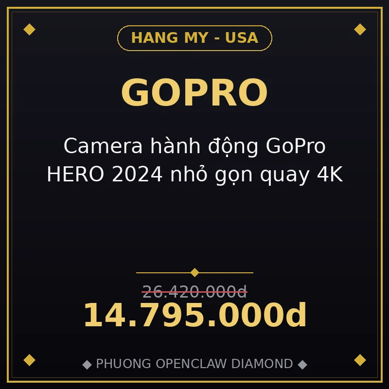Camera hành động GoPro HERO 2024 nhỏ gọn quay 4K
