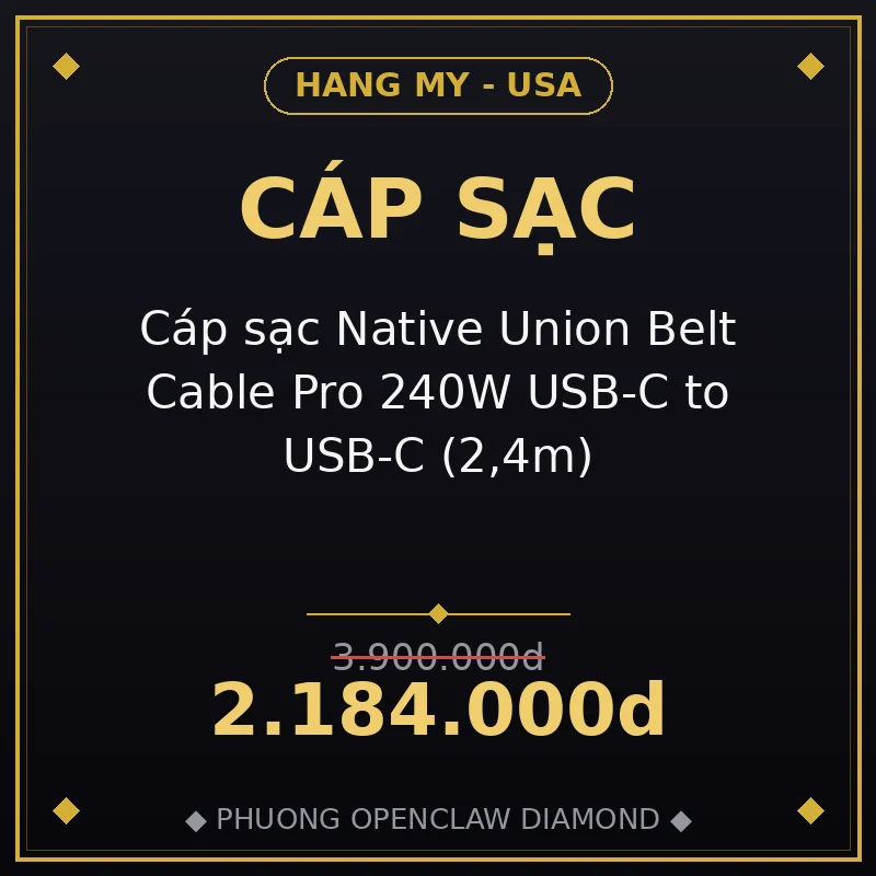 Cáp sạc Native Union Belt Cable Pro 240W USB-C to USB-C (2,4m)