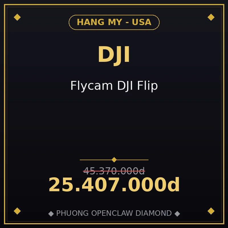 Flycam DJI Flip